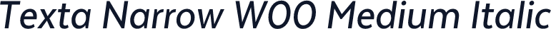 Texta Narrow W00 Medium Italic