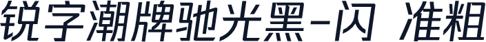 锐字潮牌驰光黑-闪 准粗