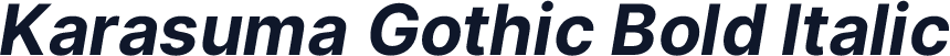 Karasuma Gothic Bold Italic