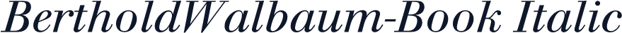 BertholdWalbaum-Book Italic