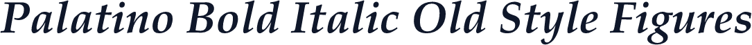 Palatino Bold Italic Old Style Figures