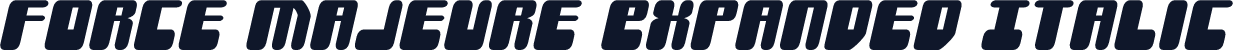 Force Majeure Expanded Italic