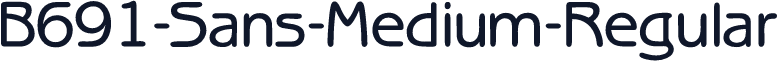 B691-Sans-Medium-Regular