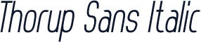 Thorup Sans Italic