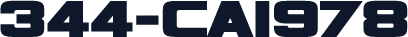 344-CAI978