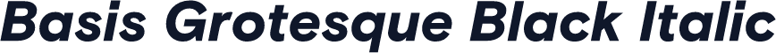Basis Grotesque Black Italic