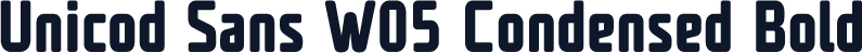 Unicod Sans W05 Condensed Bold