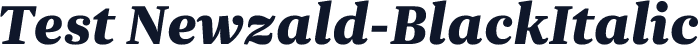 Test Newzald-BlackItalic