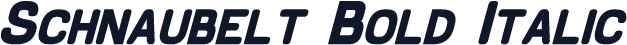 Schnaubelt Bold Italic