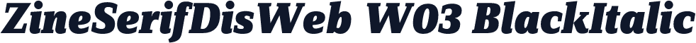 ZineSerifDisWeb W03 BlackItalic