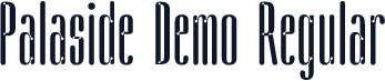 Palaside Demo Regular