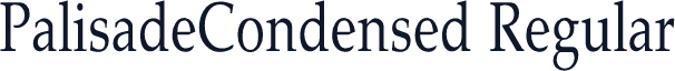 PalisadeCondensed Regular
