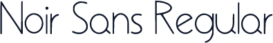 Noir Sans Regular