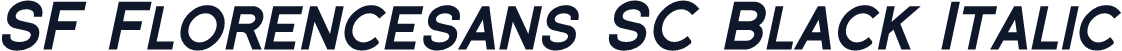 SF Florencesans SC Black Italic