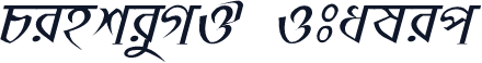 PinkiyMJ  Italic