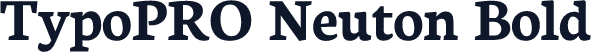 TypoPRO Neuton Bold