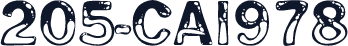 205-CAI978