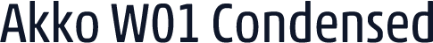 Akko W01 Condensed