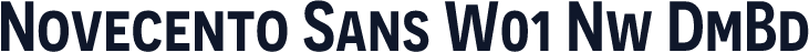 Novecento Sans W01 Nw DmBd