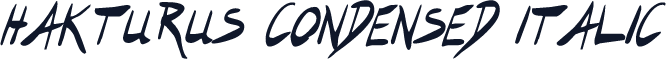 Hakturus Condensed Italic