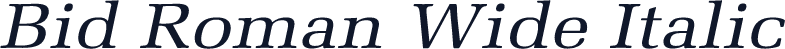 Bid Roman Wide Italic