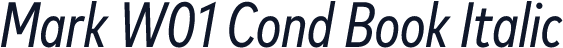 Mark W01 Cond Book Italic