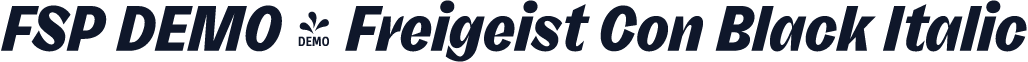 FSP DEMO - Freigeist Con Black Italic