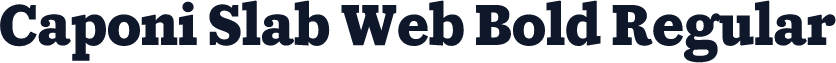 Caponi Slab Web Bold Regular