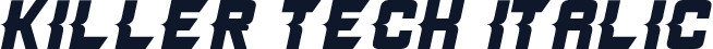 Killer Tech Italic