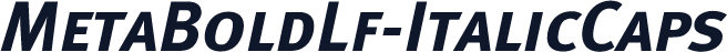 MetaBoldLf-ItalicCaps
