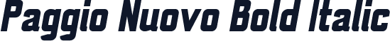 Paggio Nuovo Bold Italic