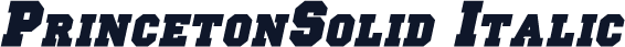 PrincetonSolid Italic