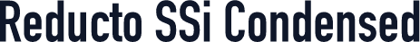 Reducto SSi Condensed