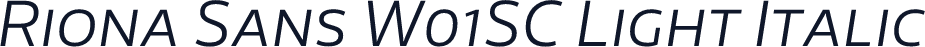 Riona Sans W01SC Light Italic