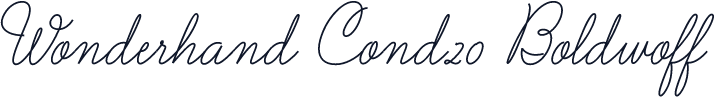 Wonderhand Cond20 Boldwoff
