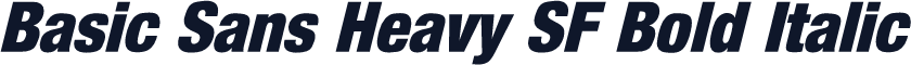 Basic Sans Heavy SF Bold Italic