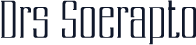 Drs Soerapto
