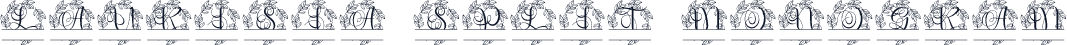 Laurisia Split Monogram