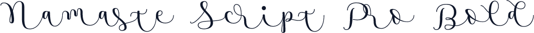 Namaste Script Pro Bold