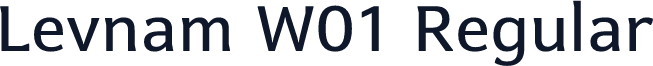 Levnam W01 Regular