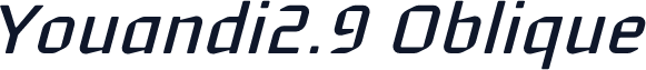 Youandi2.9 Oblique
