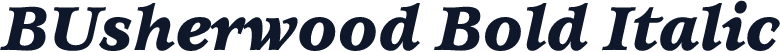 BUsherwood Bold Italic