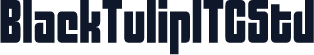 BlackTulipITCStd
