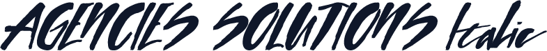 AGENCIES SOLUTIONS Italic