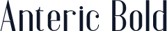 Anteric Bold