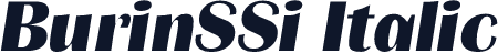 BurinSSi Italic