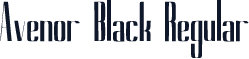Avenor Black Regular