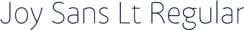 Joy Sans Lt Regular