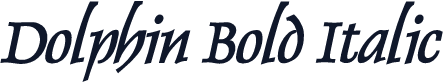 Dolphin Bold Italic