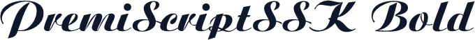 PremiScriptSSK Bold